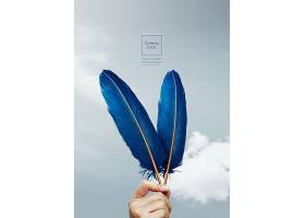 手里的两支蓝色羽毛主题时尚蓝色高端大气简洁海报设计