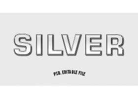 银色立体主题英文标题字体样式设计
