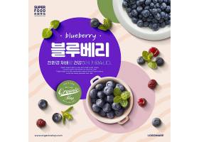 蓝莓树莓薄荷主题美食食物食材海报设计